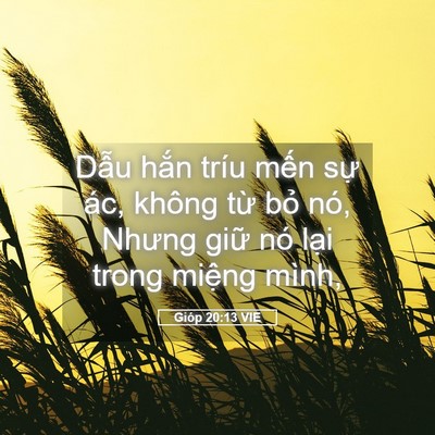Picture 05 - Gióp 20:13 VIE - Dẫu hắn tríu mến sự ác, không từ - Bible Verse Picture
