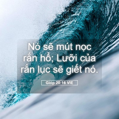 Picture 05 - Gióp 20:16 VIE - Nó sẽ mút nọc rắn hổ; Lưỡi của - Bible Verse Picture