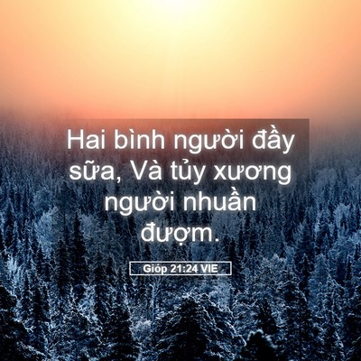 Picture 05 - Gióp 21:24 VIE - Hai bình người đầy sữa, Và tủy - Bible Verse Picture