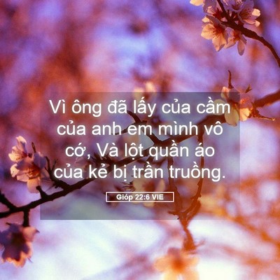 Picture 05 - Gióp 22:6 VIE - Vì ông đã lấy của cầm của anh em - Bible Verse Picture