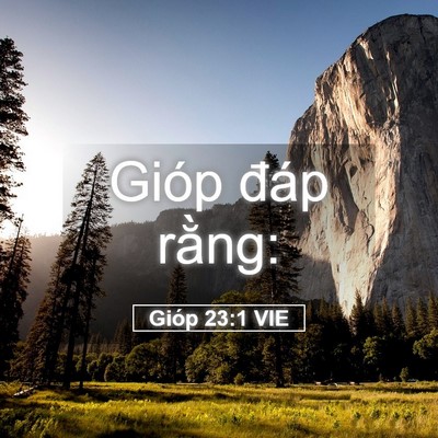 Picture 05 - Gióp 23:1 VIE - Gióp đáp - Bible Verse Picture