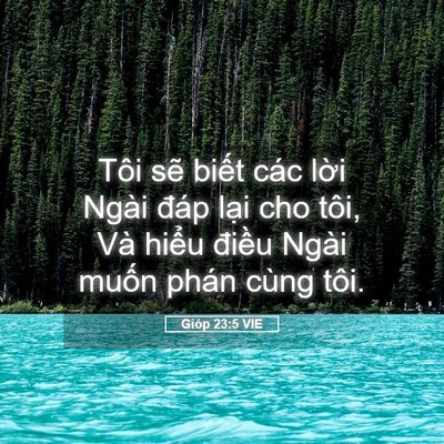 Picture 05 - Gióp 23:5 VIE - Tôi sẽ biết các lời Ngài đáp lại cho - Bible Verse Picture