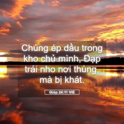 Picture 05 - Gióp 24:11 VIE - Chúng ép dầu trong kho chủ mình, Đạp - Bible Verse Picture
