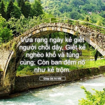 Picture 05 - Gióp 24:14 VIE - Vừa rạng ngày kẻ giết người chổi - Bible Verse Picture