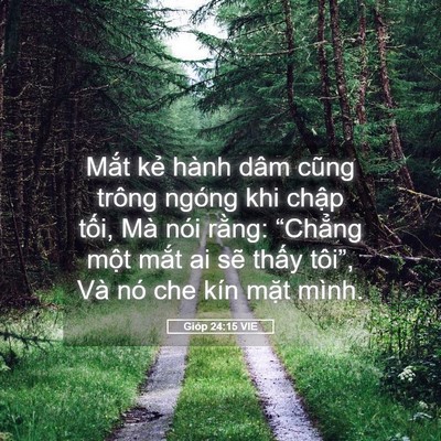 Picture 05 - Gióp 24:15 VIE - Mắt kẻ hành dâm cũng trông ngóng khi - Bible Verse Picture
