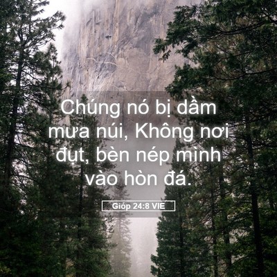 Picture 05 - Gióp 24:8 VIE - Chúng nó bị dầm mưa núi, Không nơi - Bible Verse Picture