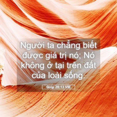 Picture 05 - Gióp 28:13 VIE - Người ta chẳng biết được giá trị - Bible Verse Picture