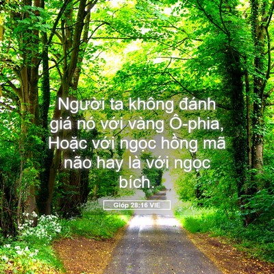 Picture 05 - Gióp 28:16 VIE - Người ta không đánh giá nó với vàng - Bible Verse Picture