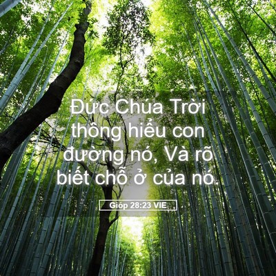 Picture 05 - Gióp 28:23 VIE - Đức Chúa Trời thông hiểu con đường - Bible Verse Picture