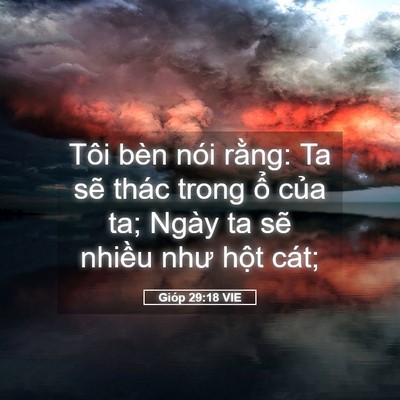 Picture 05 - Gióp 29:18 VIE - Tôi bèn nói rằng: Ta sẽ thác trong ổ - Bible Verse Picture
