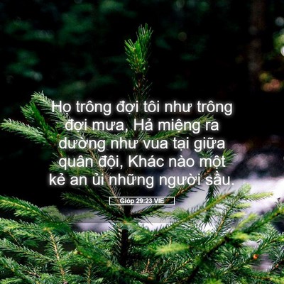 Picture 05 - Gióp 29:23 VIE - Họ trông đợi tôi như trông đợi mưa, - Bible Verse Picture