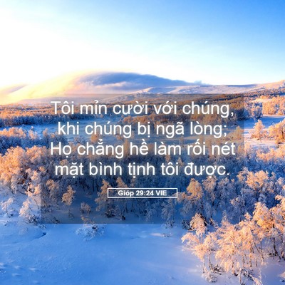Picture 05 - Gióp 29:24 VIE - Tôi mỉn cười với chúng, khi chúng bị - Bible Verse Picture