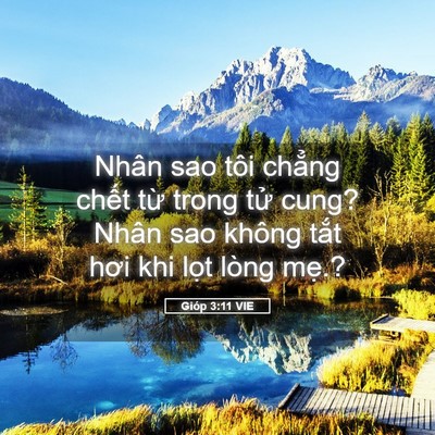Picture 05 - Gióp 3:11 VIE - Nhân sao tôi chẳng chết từ trong tử - Bible Verse Picture