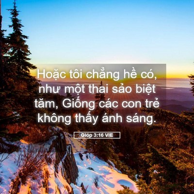 Picture 05 - Gióp 3:16 VIE - Hoặc tôi chẳng hề có, như một thai - Bible Verse Picture