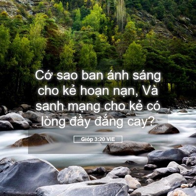 Picture 05 - Gióp 3:20 VIE - Cớ sao ban ánh sáng cho kẻ hoạn nạn, - Bible Verse Picture