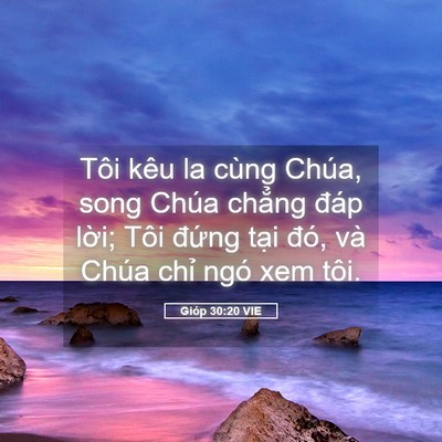 Picture 05 - Gióp 30:20 VIE - Tôi kêu la cùng Chúa, song Chúa chẳng - Bible Verse Picture