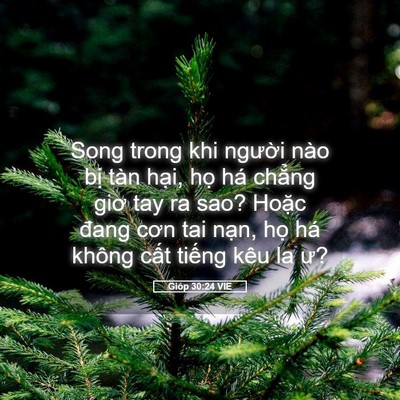 Picture 05 - Gióp 30:24 VIE - Song trong khi người nào bị tàn hại, - Bible Verse Picture