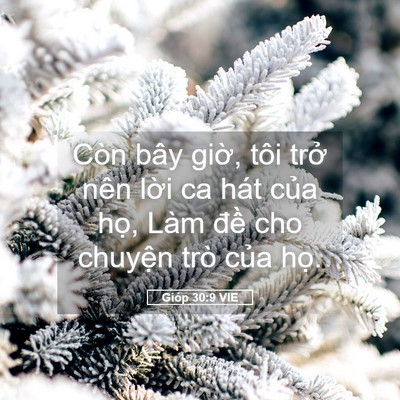 Picture 05 - Gióp 30:9 VIE - Còn bây giờ, tôi trở nên lời ca hát - Bible Verse Picture