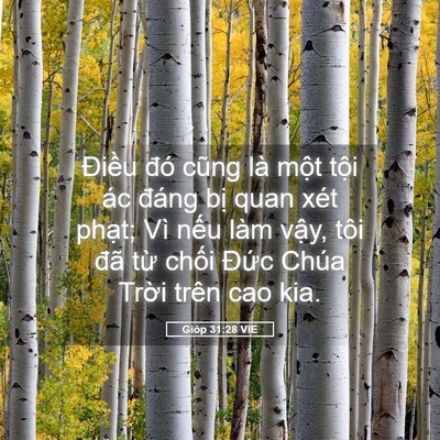 Picture 05 - Gióp 31:28 VIE - Điều đó cũng là một tội ác đáng - Bible Verse Picture