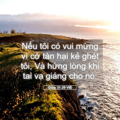 Picture 05 - Gióp 31:29 VIE - Nếu tôi có vui mừng vì cớ tàn hại - Bible Verse Picture