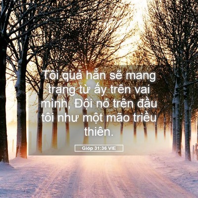 Picture 05 - Gióp 31:36 VIE - Tôi quả hẳn sẽ mang trạng từ ấy - Bible Verse Picture