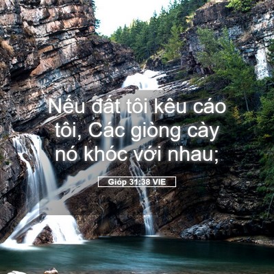 Picture 05 - Gióp 31:38 VIE - Nếu đất tôi kêu cáo tôi, Các giòng - Bible Verse Picture