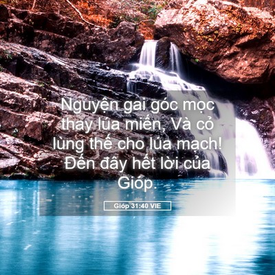 Picture 05 - Gióp 31:40 VIE - Nguyện gai góc mọc thay lúa miến, Và - Bible Verse Picture