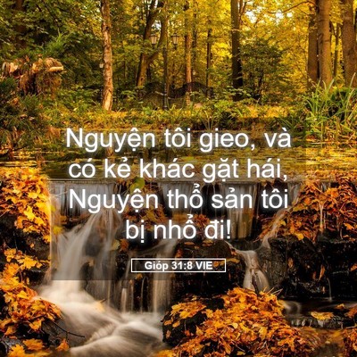 Picture 05 - Gióp 31:8 VIE - Nguyện tôi gieo, và có kẻ khác gặt - Bible Verse Picture