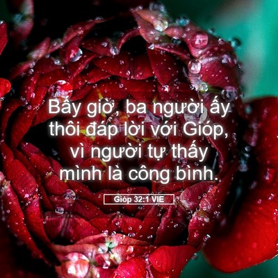 Picture 05 - Gióp 32:1 VIE - Bấy giờ, ba người ấy thôi đáp lời - Bible Verse Picture