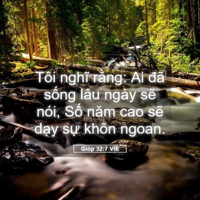 Picture 05 - Gióp 32:7 VIE - Tôi nghĩ rằng: Ai đã sống lâu ngày sẽ - Bible Verse Picture