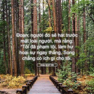 Picture 05 - Gióp 33:27 VIE - Đoạn, người đó sẽ hát trước mặt - Bible Verse Picture