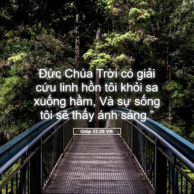 Picture 05 - Gióp 33:28 VIE - Đức Chúa Trời có giải cứu linh hồn - Bible Verse Picture