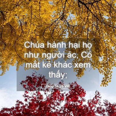Picture 05 - Gióp 34:26 VIE - Chúa hành hại họ như người ác, Có - Bible Verse Picture