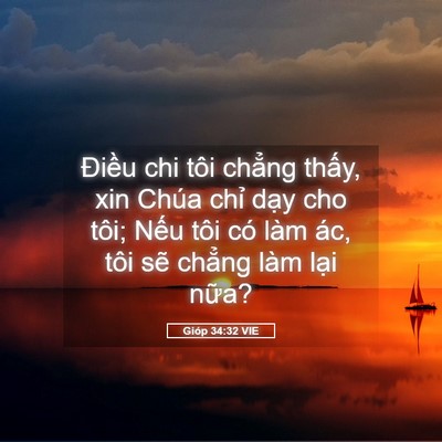 Picture 05 - Gióp 34:32 VIE - Điều chi tôi chẳng thấy, xin Chúa chỉ - Bible Verse Picture