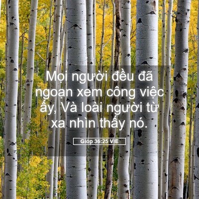 Picture 05 - Gióp 36:25 VIE - Mọi người đều đã ngoạn xem công - Bible Verse Picture