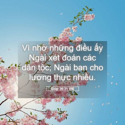 Picture 05 - Gióp 36:31 VIE - Vì nhờ những điều ấy Ngài xét đoán - Bible Verse Picture