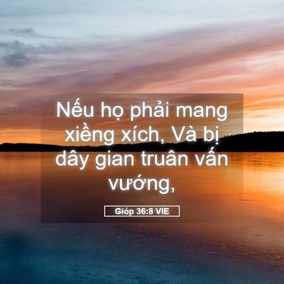 Picture 05 - Gióp 36:8 VIE - Nếu họ phải mang xiềng xích, Và bị - Bible Verse Picture
