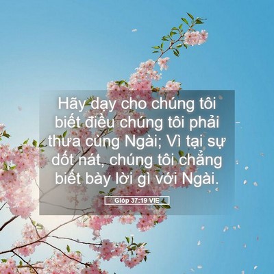 Picture 05 - Gióp 37:19 VIE - Hãy dạy cho chúng tôi biết điều chúng - Bible Verse Picture