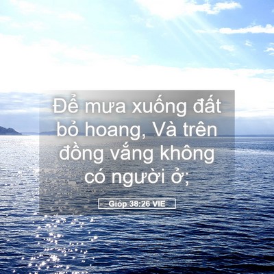 Picture 05 - Gióp 38:26 VIE - Để mưa xuống đất bỏ hoang, Và trên - Bible Verse Picture