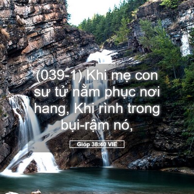 Picture 05 - Gióp 38:40 VIE - (039-1) Khi mẹ con sư tử nằm phục nơi - Bible Verse Picture