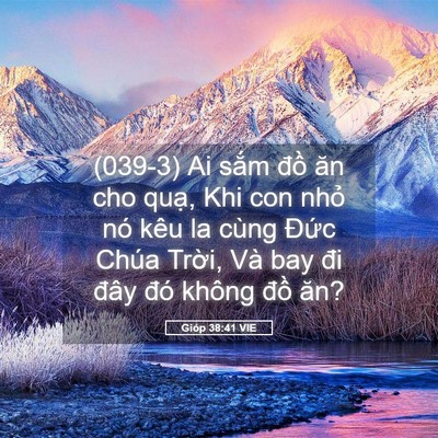 Picture 05 - Gióp 38:41 VIE - (039-3) Ai sắm đồ ăn cho quạ, Khi con - Bible Verse Picture