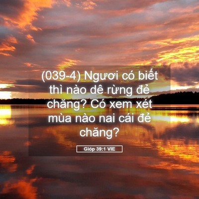 Picture 05 - Gióp 39:1 VIE - (039-4) Ngươi có biết thì nào dê rừng - Bible Verse Picture