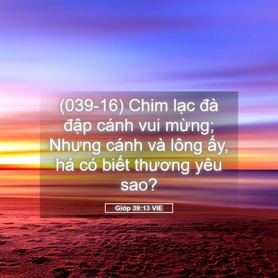 Picture 05 - Gióp 39:13 VIE - (039-16) Chim lạc đà đập cánh vui mừng; - Bible Verse Picture