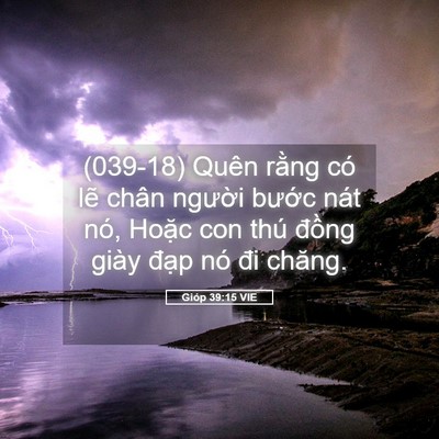 Picture 05 - Gióp 39:15 VIE - (039-18) Quên rằng có lẽ chân người - Bible Verse Picture