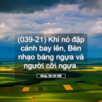 Picture 05 - Gióp 39:18 VIE - (039-21) Khi nó đập cánh bay lên, Bèn - Bible Verse Picture