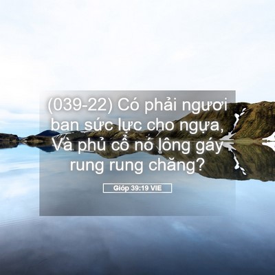 Picture 05 - Gióp 39:19 VIE - (039-22) Có phải ngươi ban sức lực cho - Bible Verse Picture
