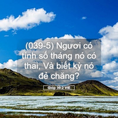 Picture 05 - Gióp 39:2 VIE - (039-5) Ngươi có tính số tháng nó có - Bible Verse Picture