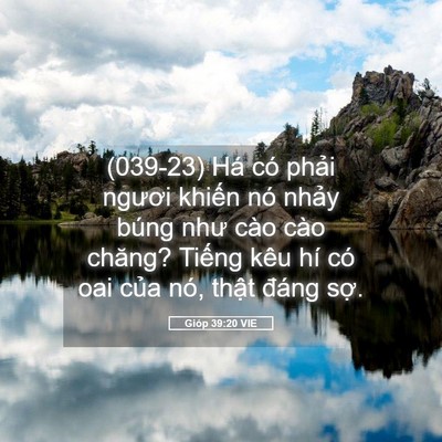 Picture 05 - Gióp 39:20 VIE - (039-23) Há có phải ngươi khiến nó - Bible Verse Picture