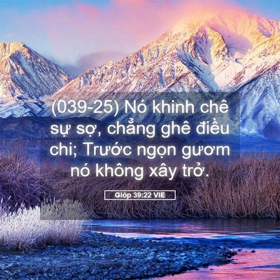 Picture 05 - Gióp 39:22 VIE - (039-25) Nó khinh chê sự sợ, chẳng ghê - Bible Verse Picture