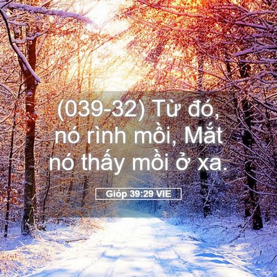 Picture 05 - Gióp 39:29 VIE - (039-32) Từ đó, nó rình mồi, Mắt nó - Bible Verse Picture